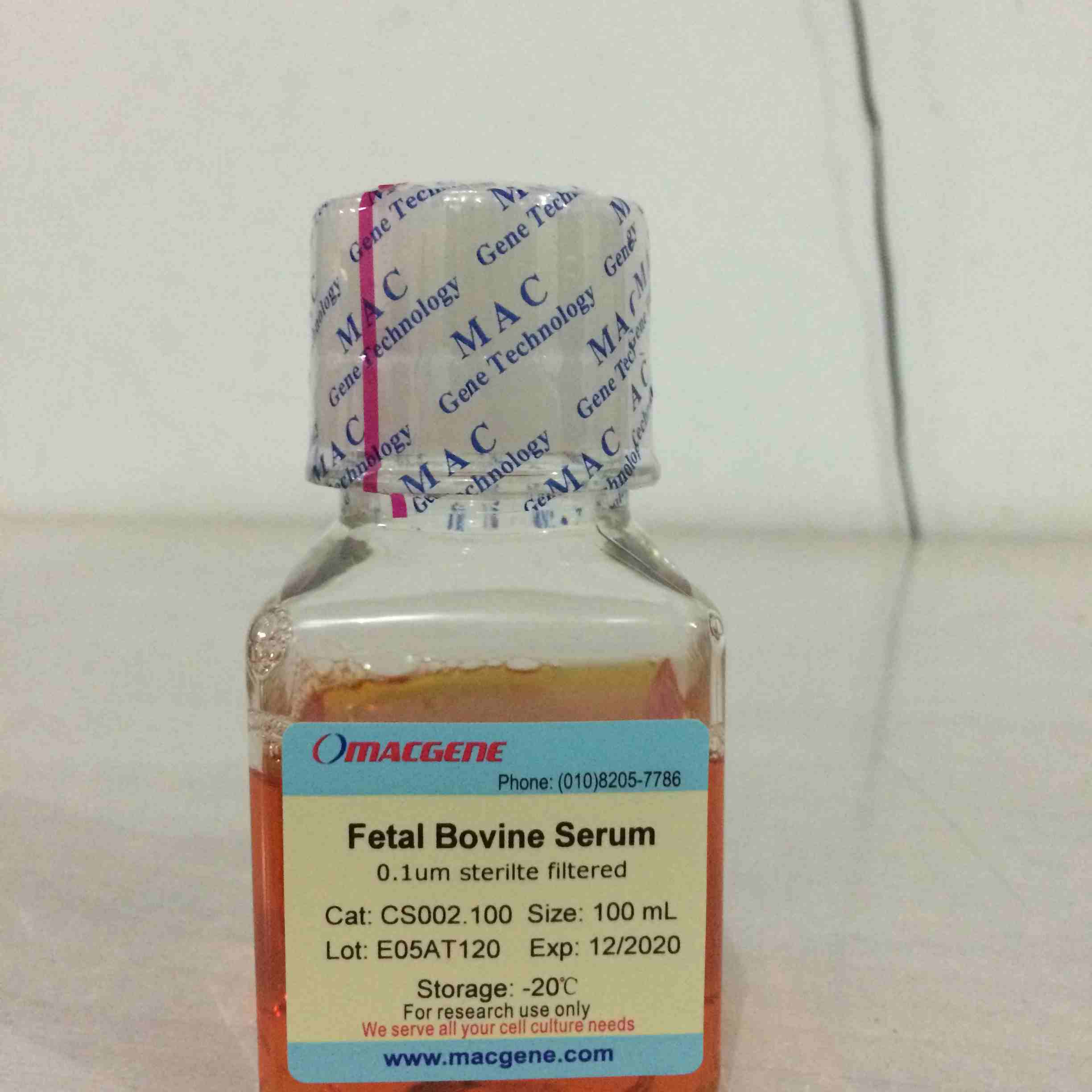 Fetal Bovine Serum(standard)