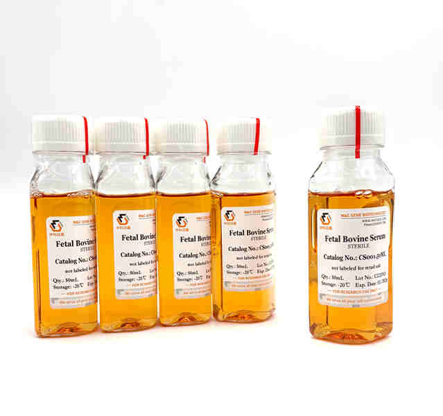 Fetal Bovine Serum(premium)