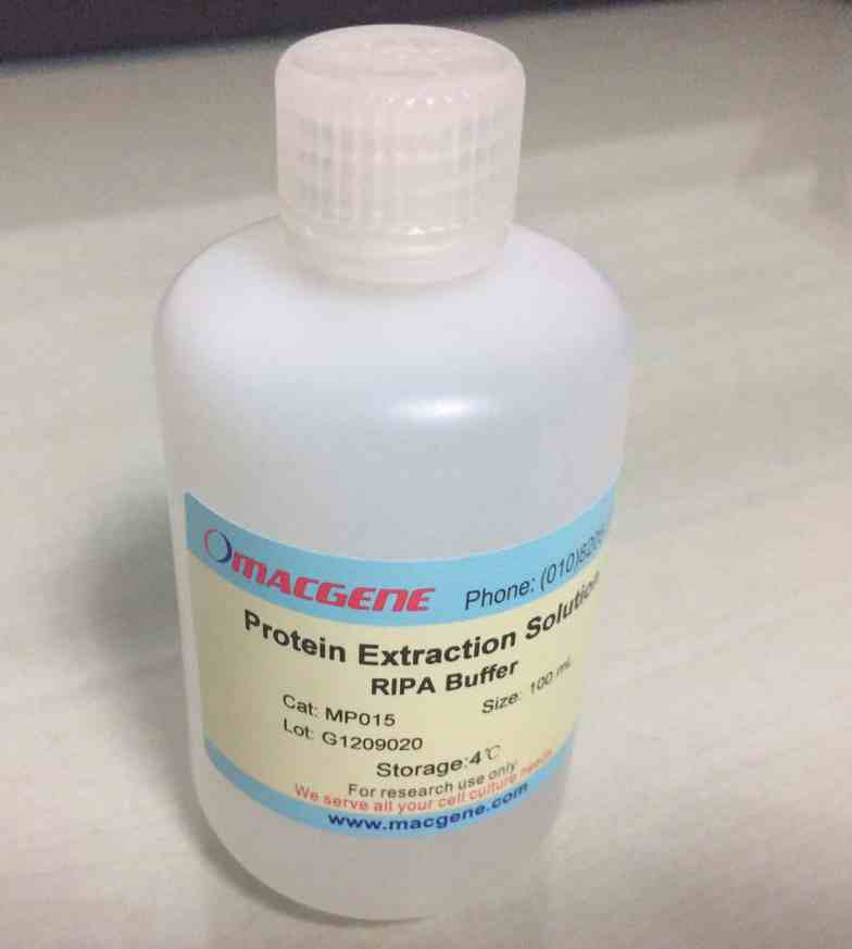 RIPA Buffer