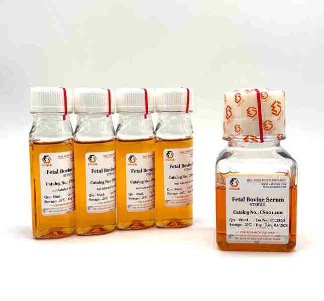 Fetal Bovine Serum(premium)