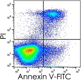 Annexin V-FITC/PI Kit