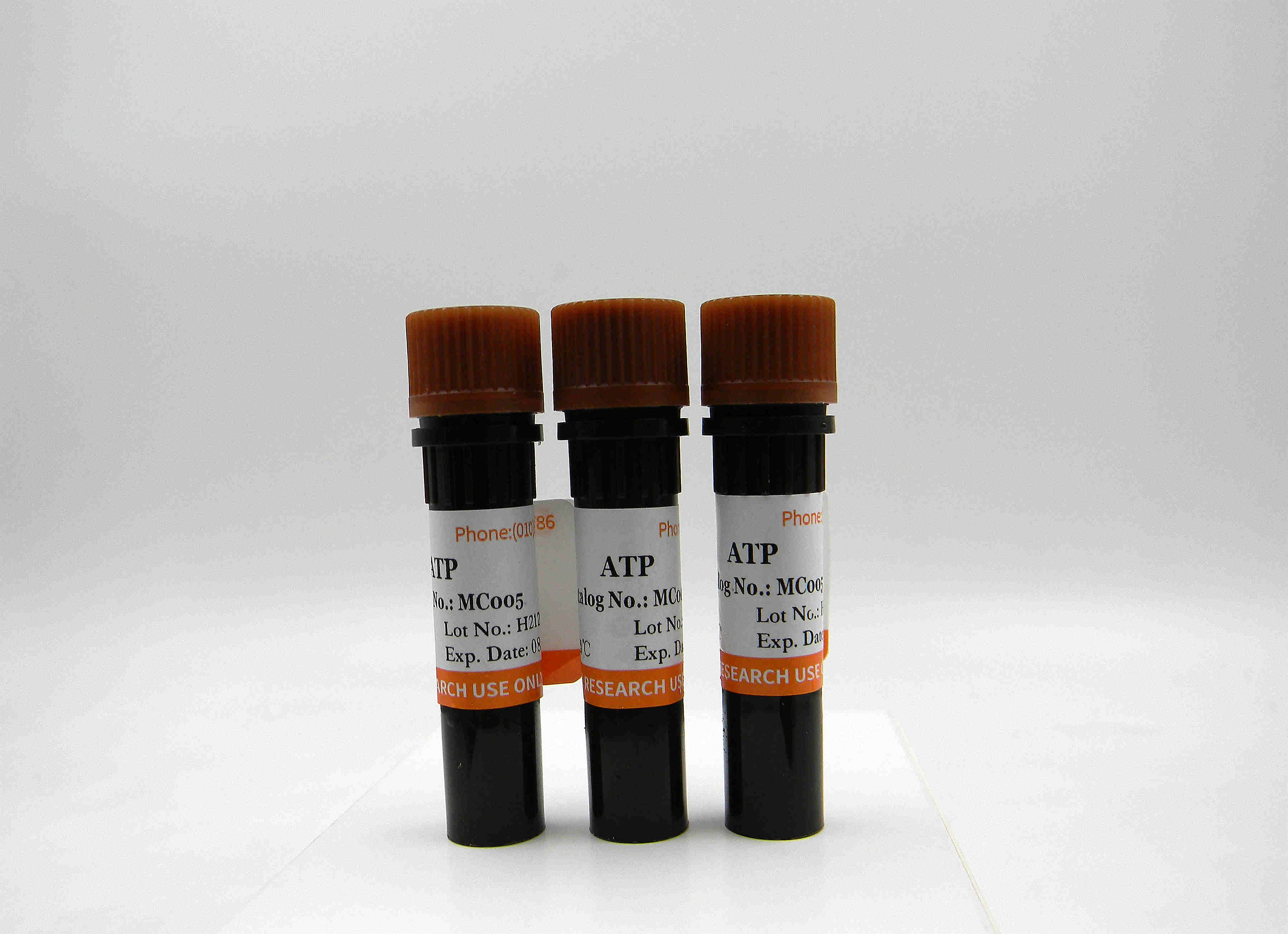 ATP solution, 100mM