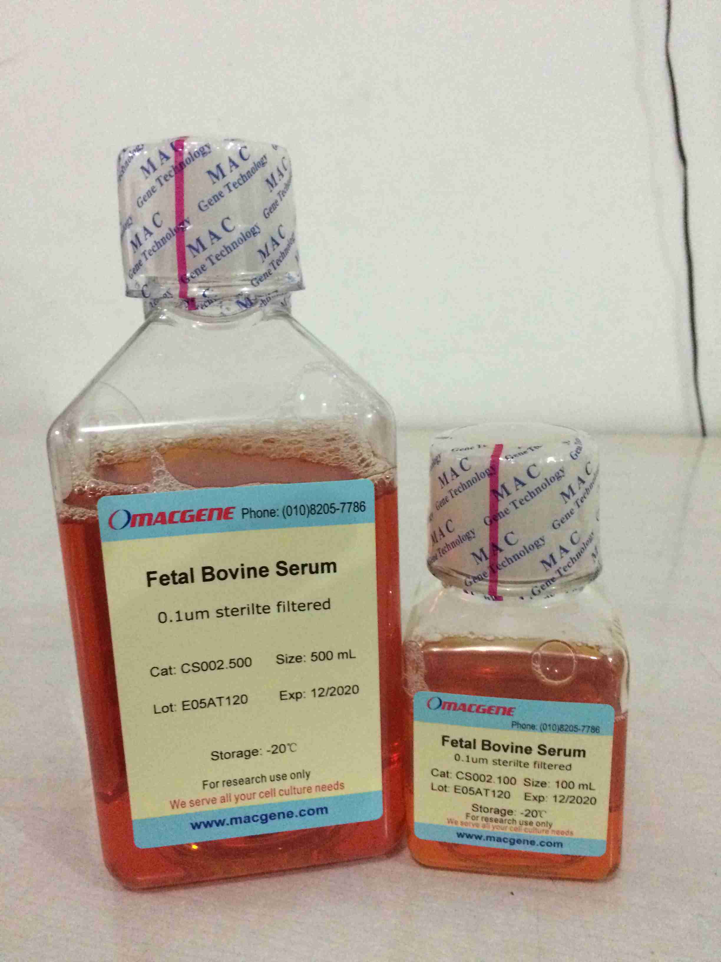 Fetal Bovine Serum(standard)