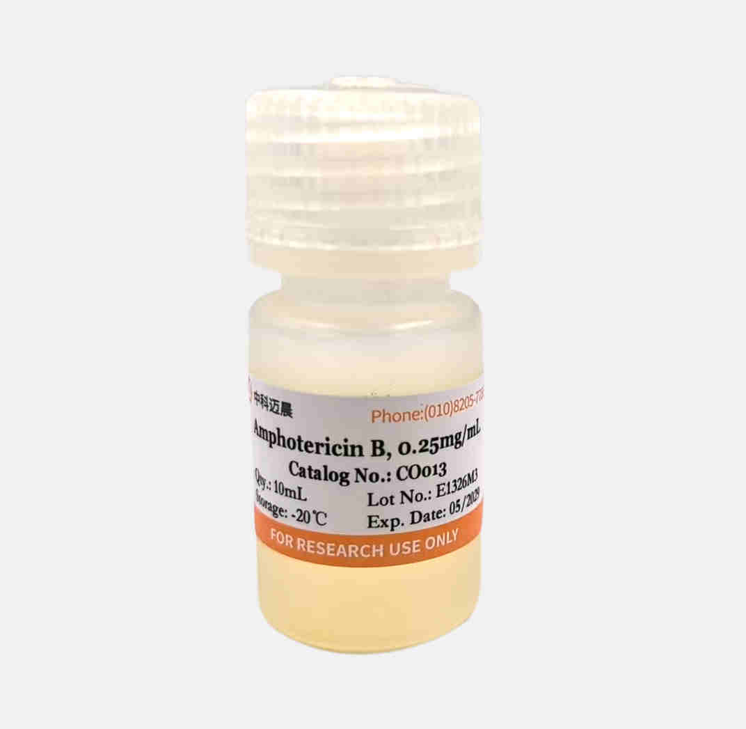 Amphotericin B 0.25mg/mL